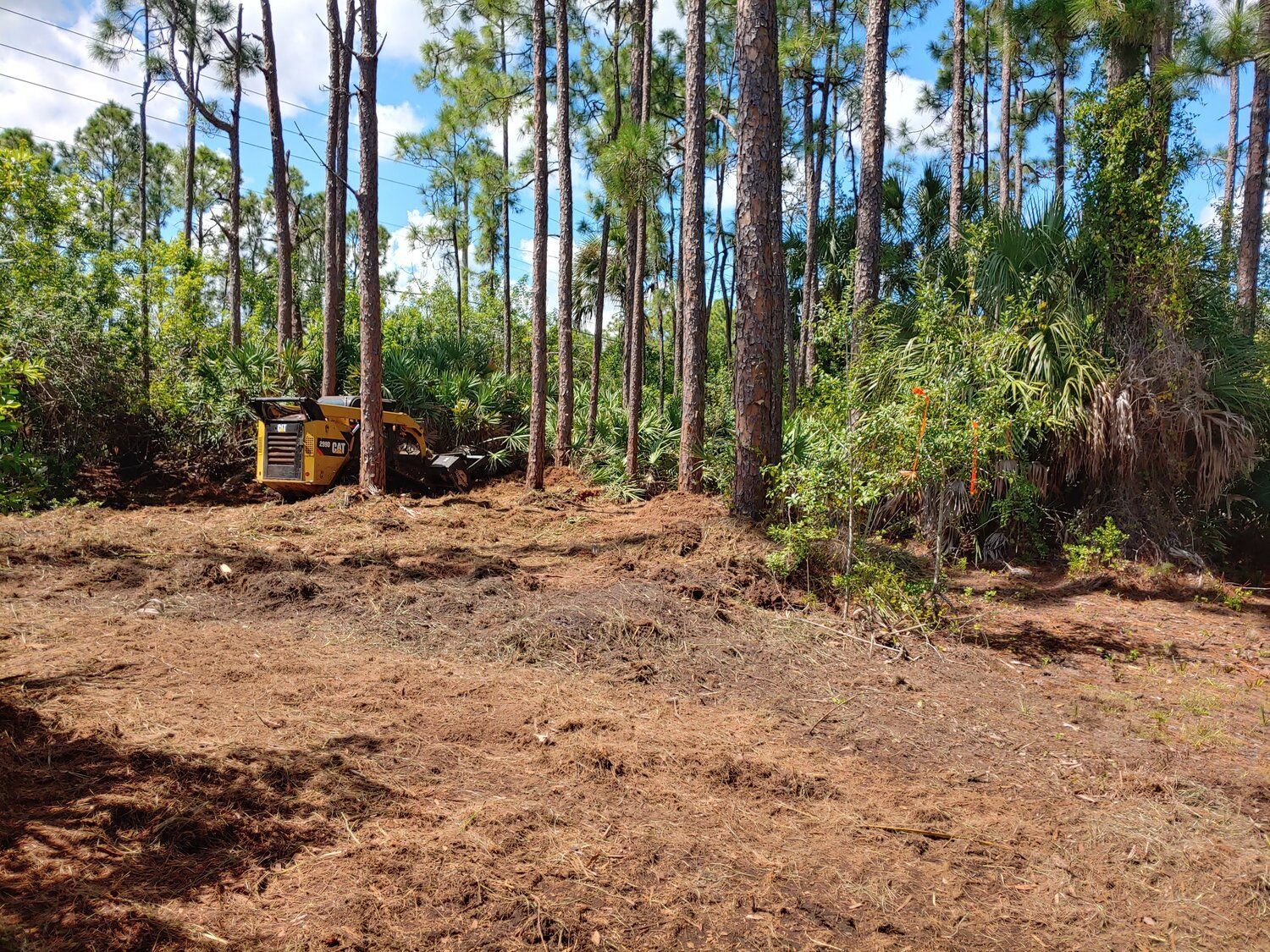 An excavator clearing a trail in the forest.