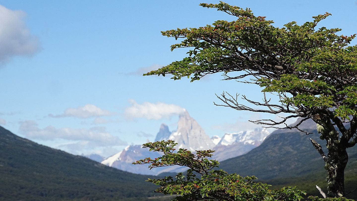 Primera vista del Fitz Roy o Chaltén en la ruta desde Candelario Mancilla hacia Lago del Desierto