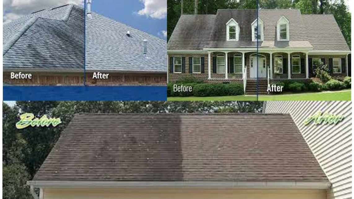 Before and after photos showing roof cleaning results. Shingles visibly cleaner after treatment.