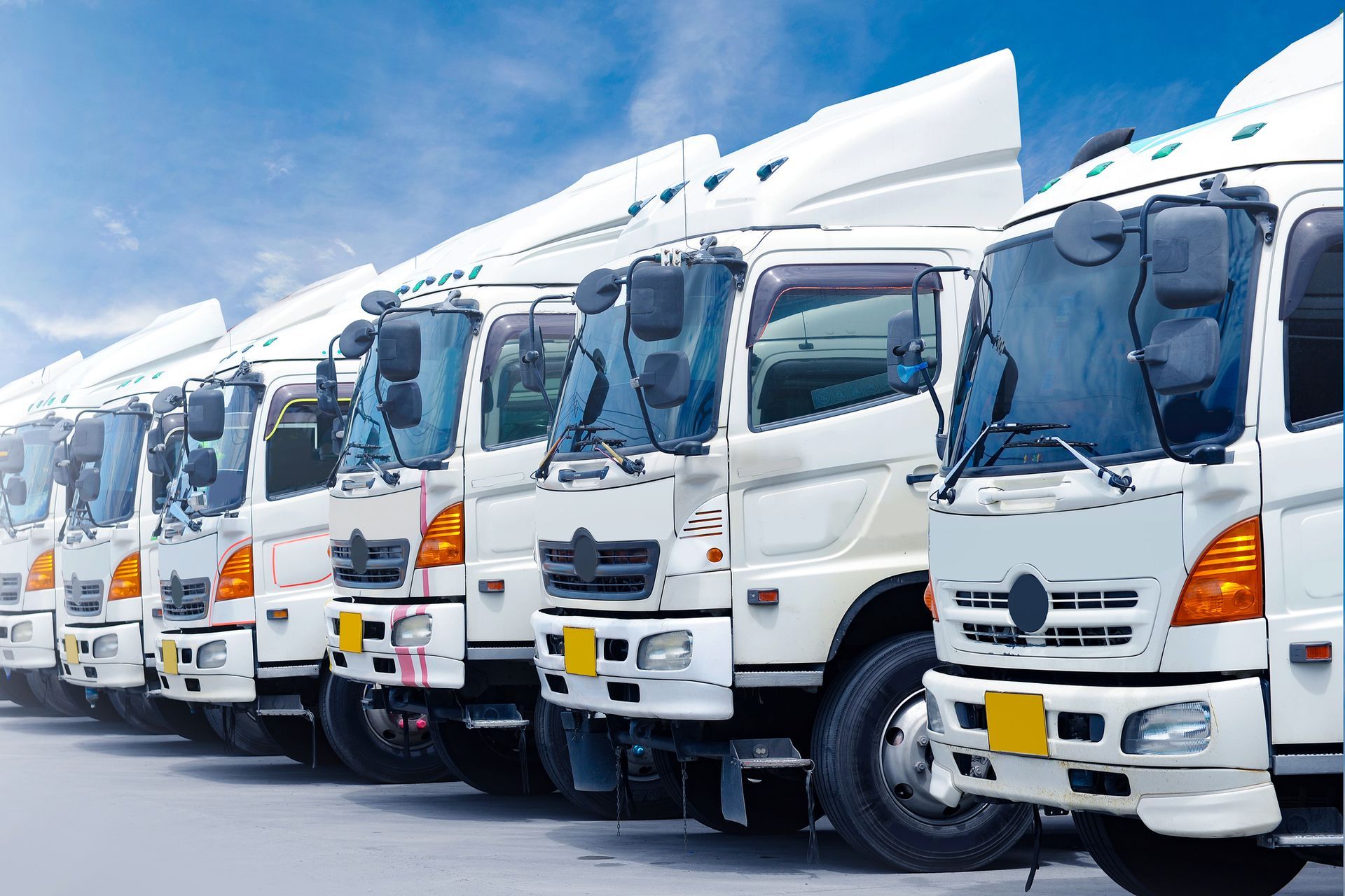 Row of white commercial trucks parked under clear blue sky.
