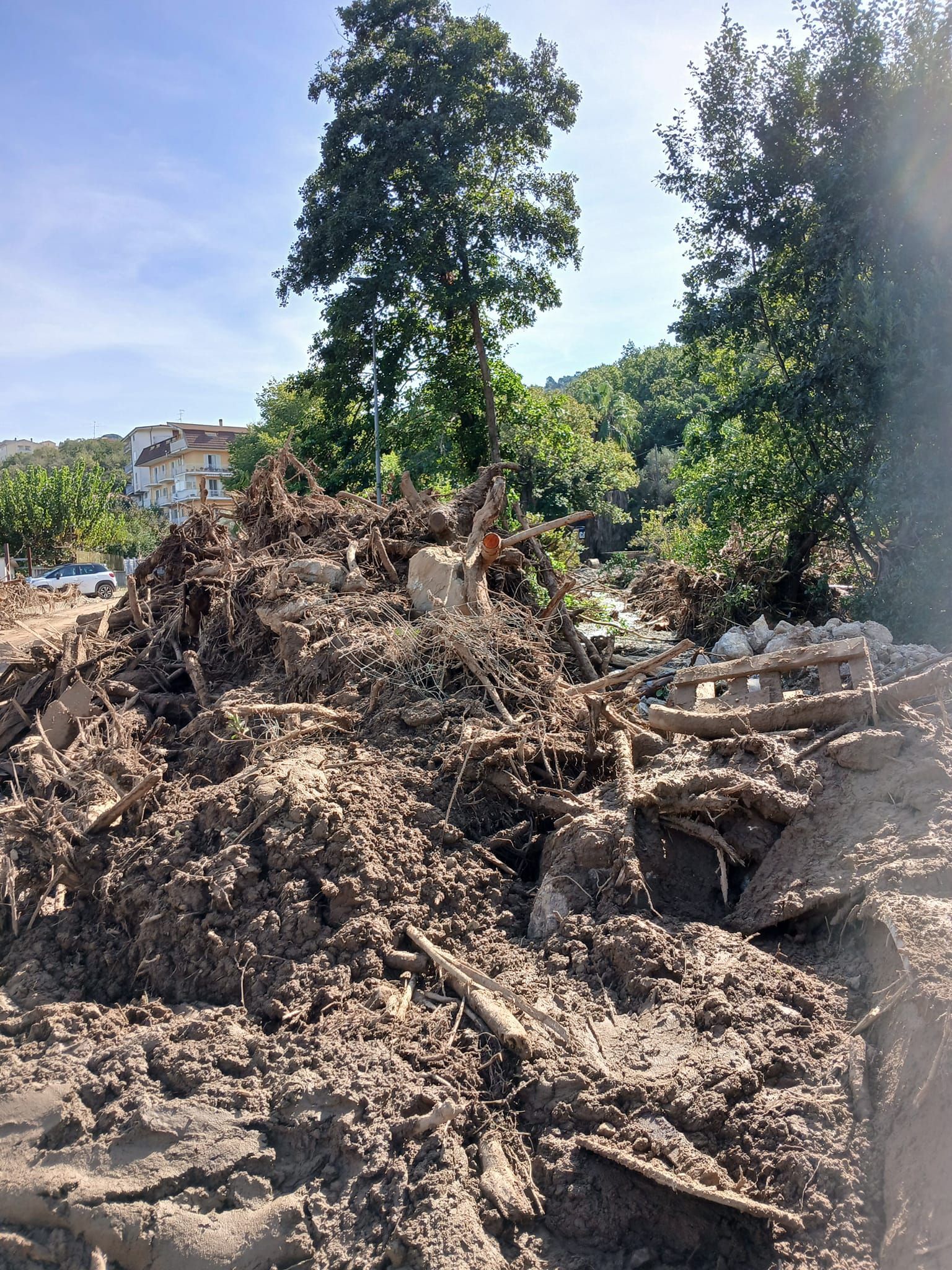 Cumulo di fango e detriti davanti ad alberi ed edifici, probabilmente causato da un'alluvione o da una frana.