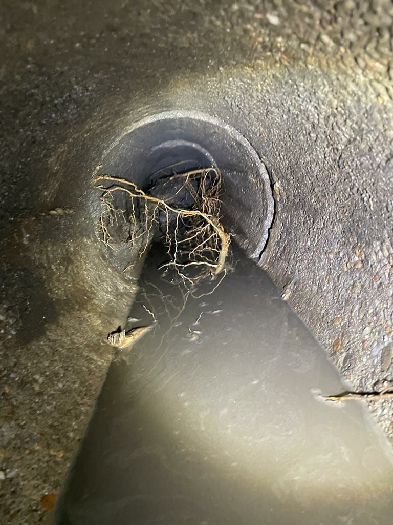 Guardando in basso in un buco nero, radici e detriti bloccano l'apertura.