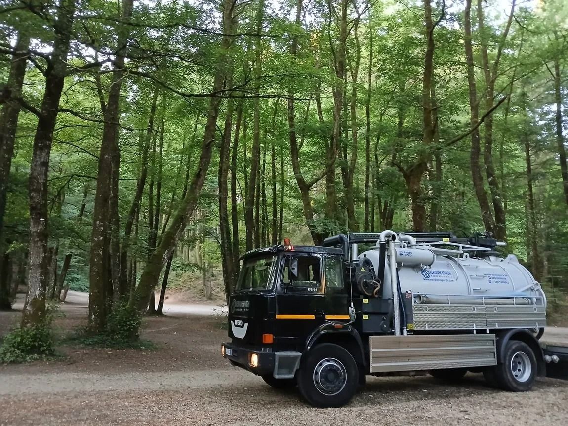 Un camion nero parcheggiato su una strada sterrata in una foresta, tra alberi alti e foglie verdi.