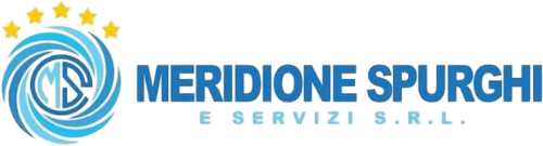 Logo Meridione Spurghi e Servizi