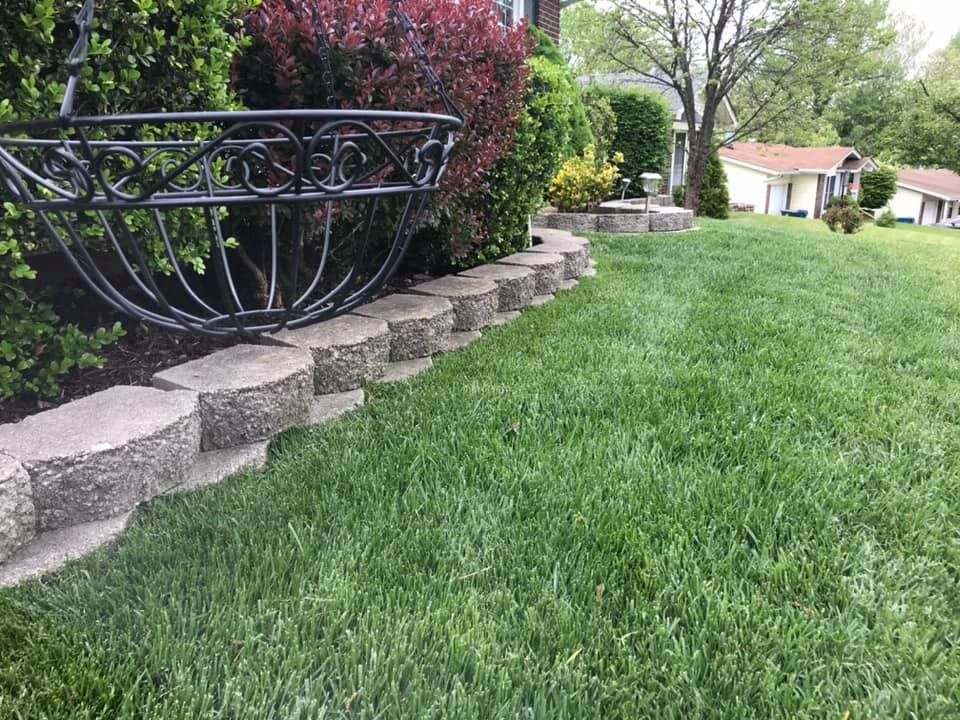 Lawn Mowed Grass - St Peters, MO | Dart Landscaping and Lawncare