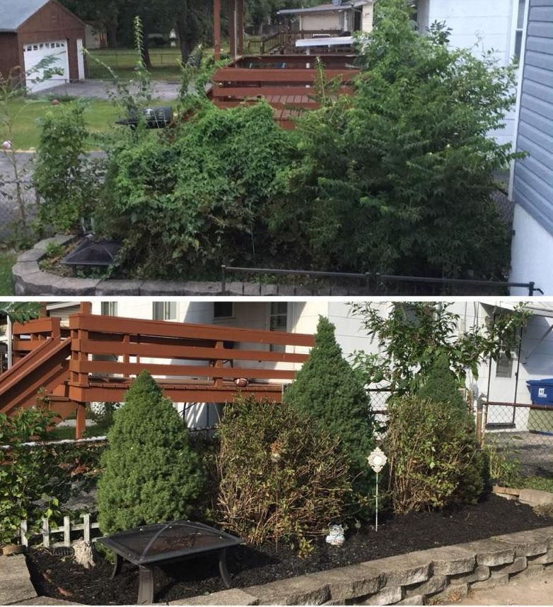 Driveway - St Peters, MO | Dart Landscaping and Lawncare