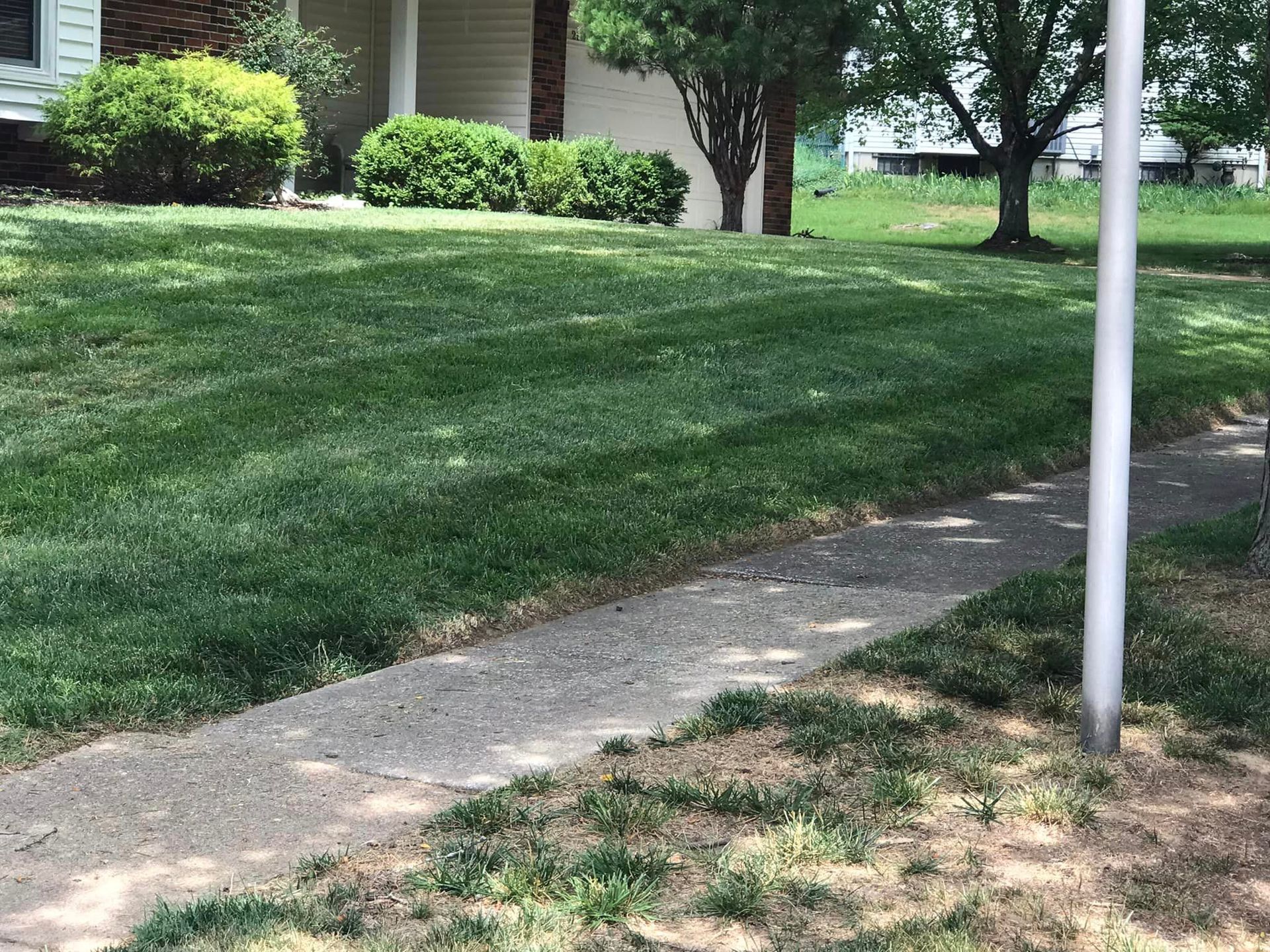 Cut Grass - St Peters, MO | Dart Landscaping and Lawncare