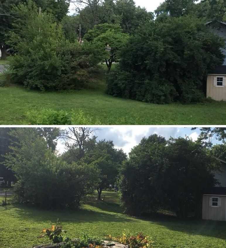 Shadow of Tree on Lawn - St Peters, MO | Dart Landscaping and Lawncare