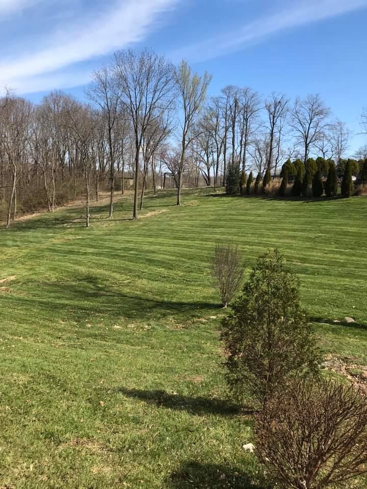 Large Lawn of Grass - St Peters, MO | Dart Landscaping and Lawncare