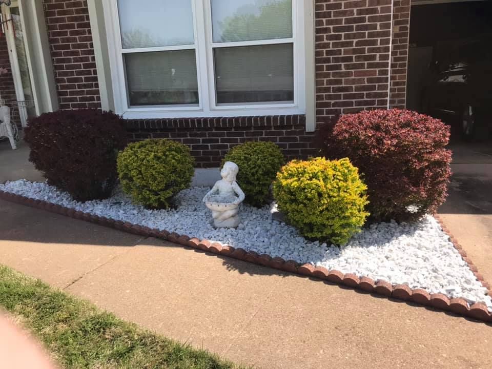 Grass Bush - St Peters, MO | Dart Landscaping and Lawncare