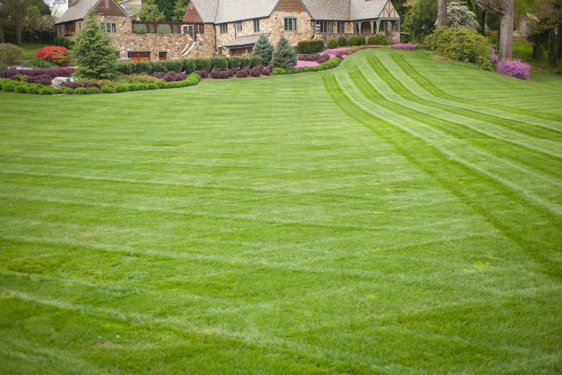 Large Lawn - St Peters, MO | Dart Landscaping and Lawncare