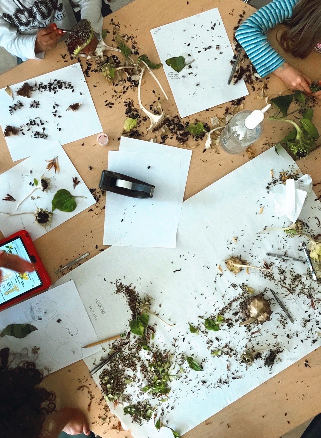 Caraway Alternative education Nature days