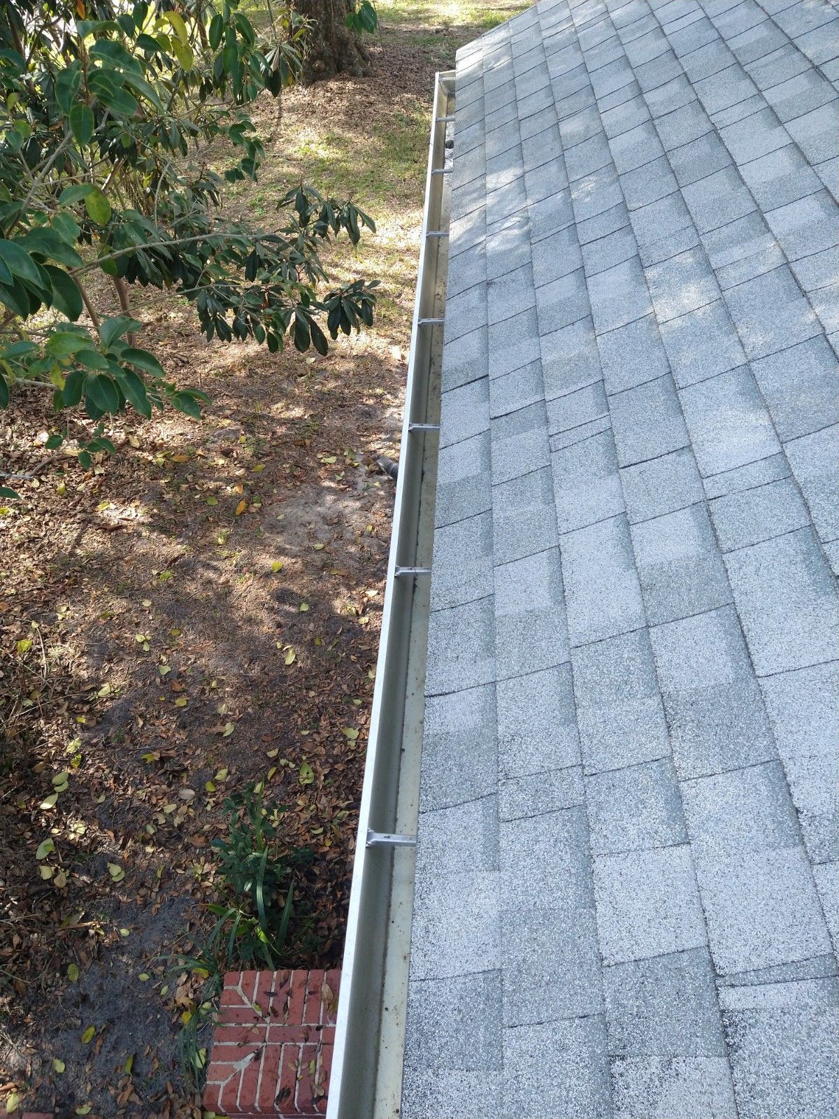 Gutter Cleaning - Gainesville FL - Before