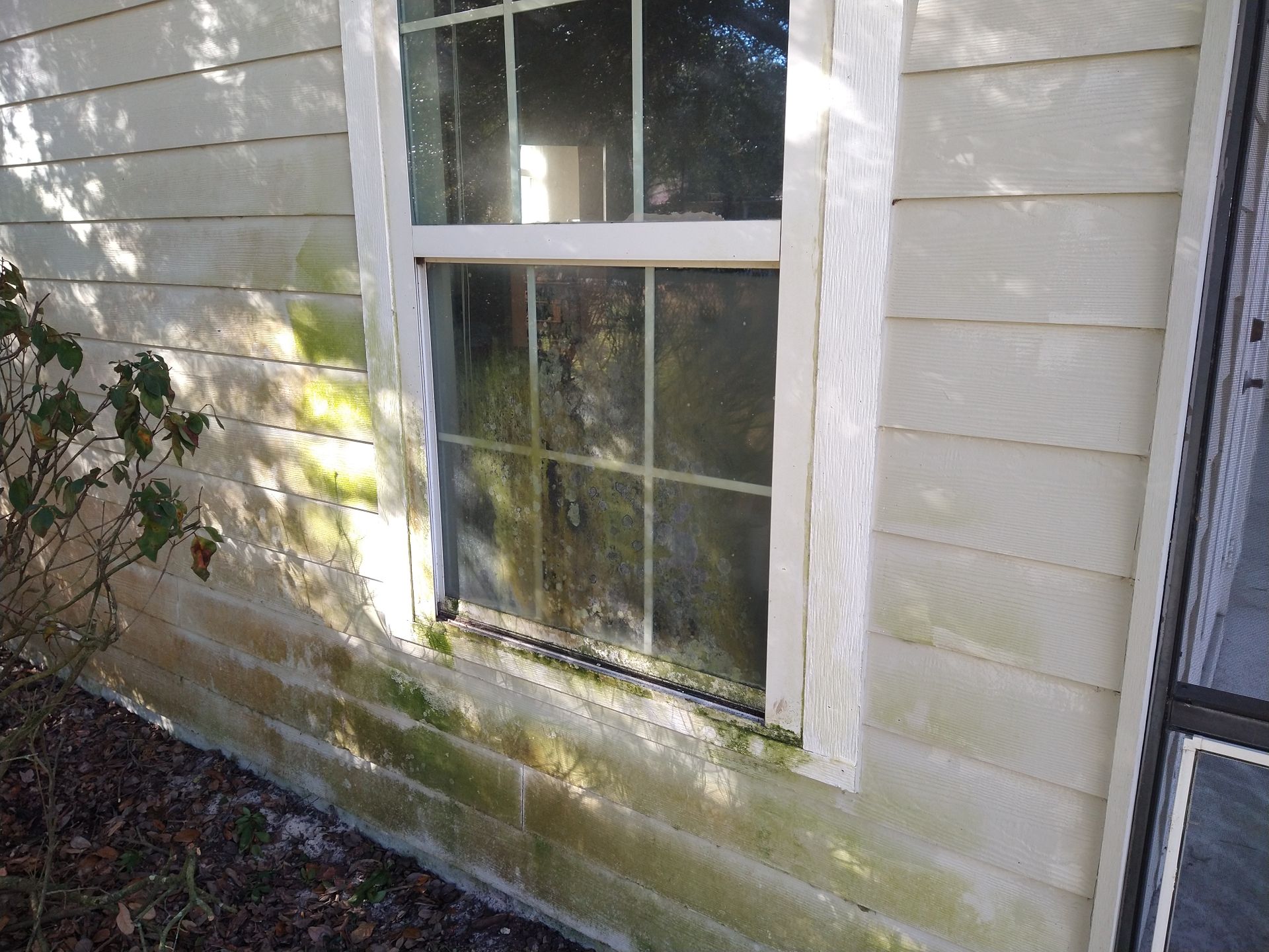 House Washing - Gainesville FL - Before