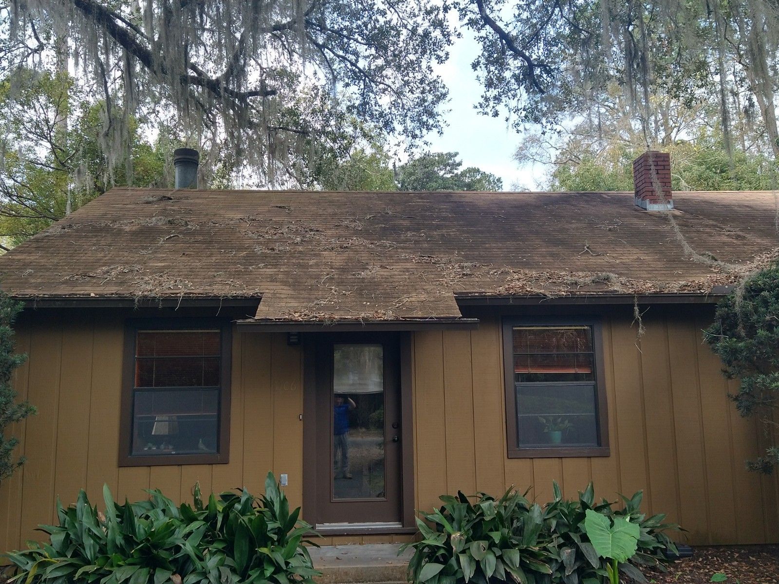 Roof Cleaning - Gainesville FL - Before