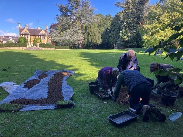 Some people in a group kneeling over a square cut out of grass, they have plastic buckets and seed trays, there is a long length of blue tarpaulin with earth on and an house in the background, with large trees. 