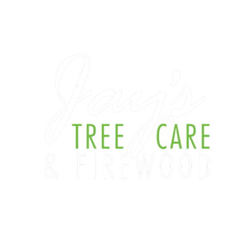 A white background with a few lines on it