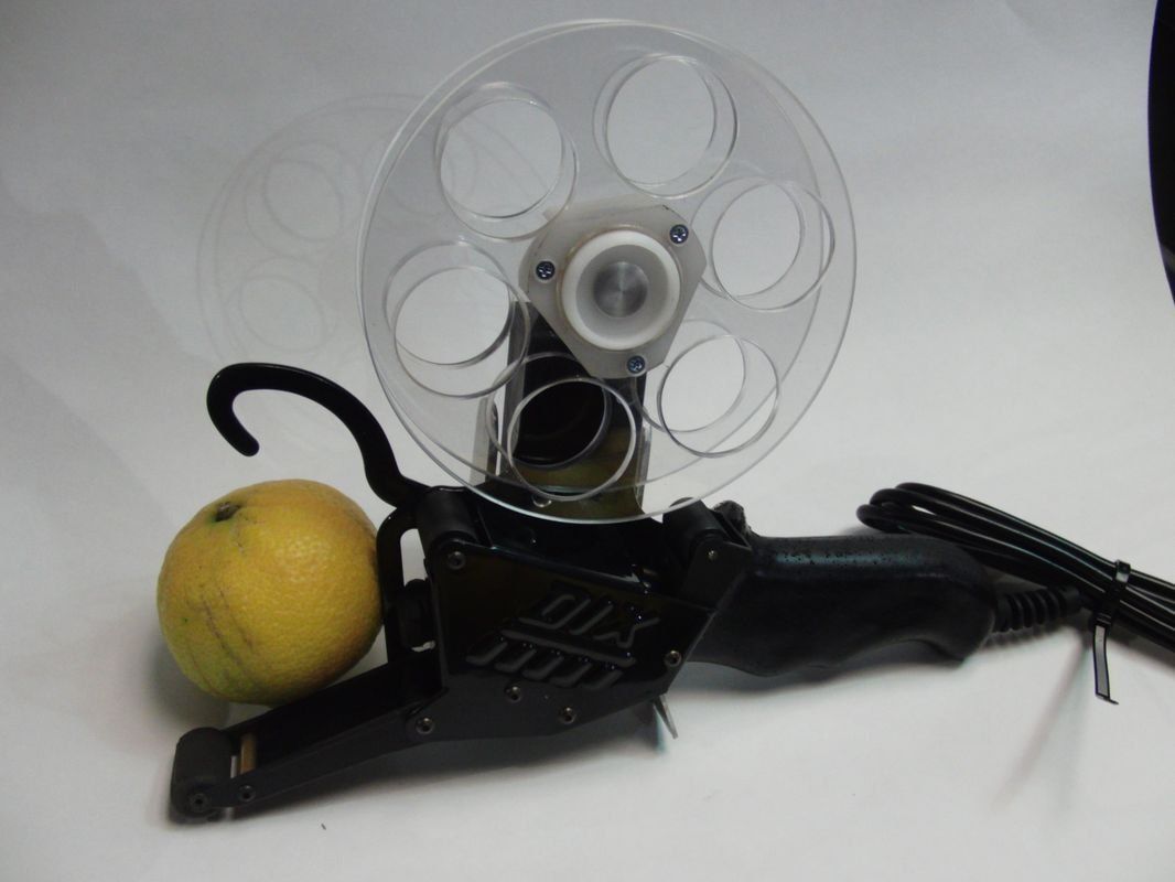 A yellow apple sits next to a fan and a umbrella