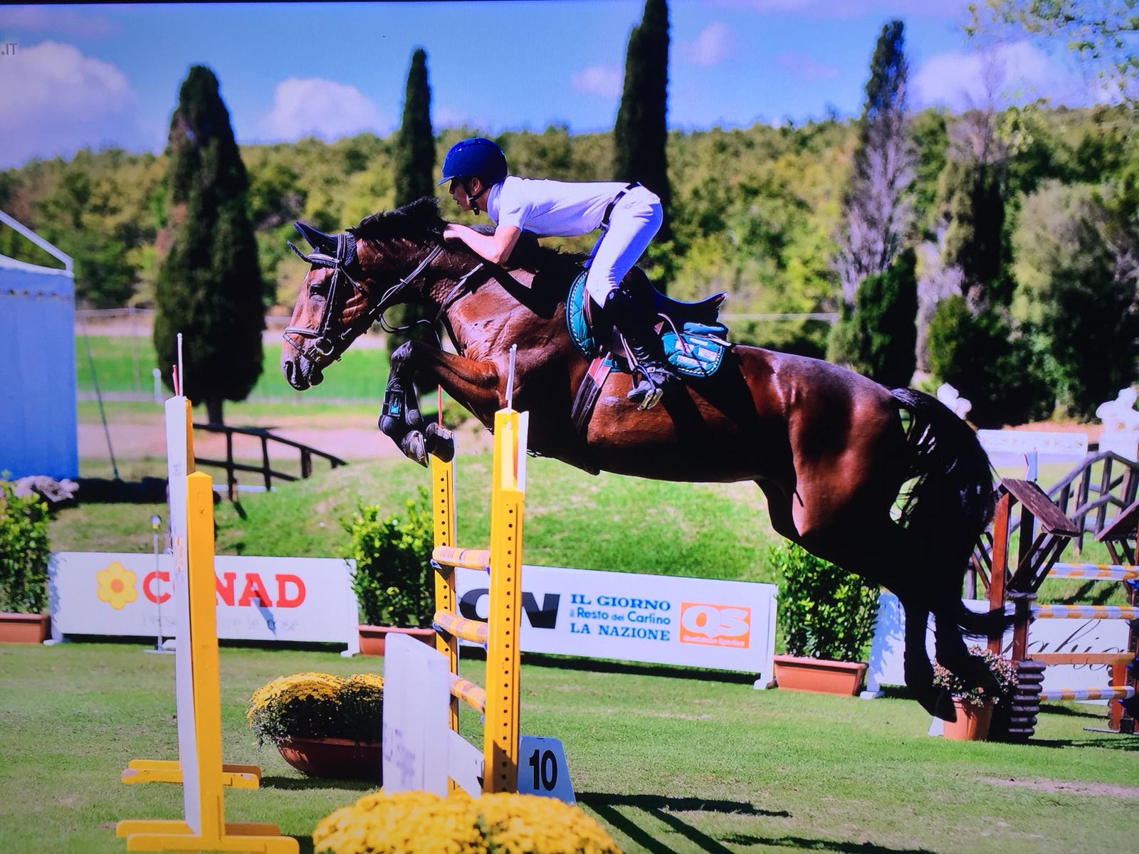 salto ad ostacoli a cavallo
