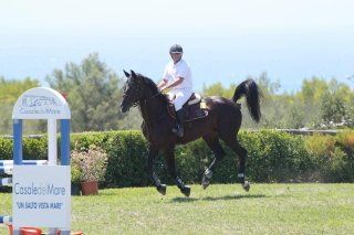 preparazione al salto agli ostacoli