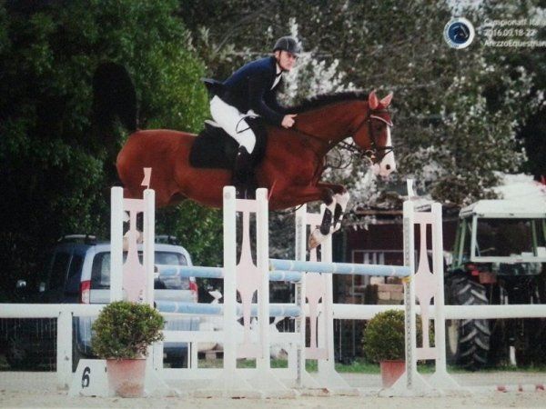 centro ippico toscana