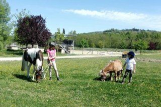 corsi per bambini di equitazione