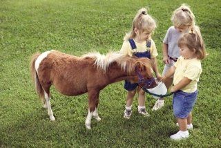 pony con bambini