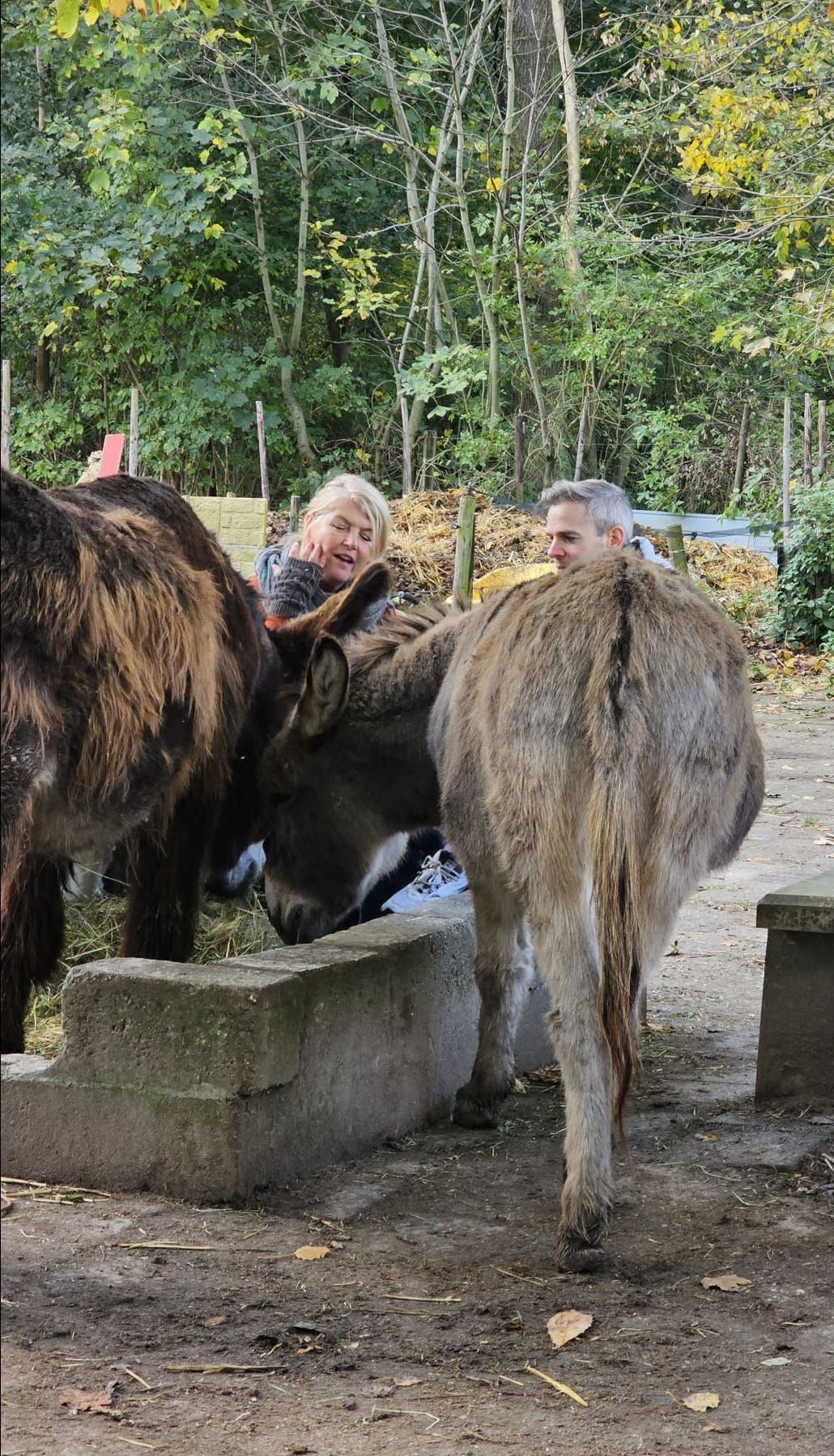 Zin in Morgen Thomas Cammaert Diana Hermans Ezels Ezelknuffelen KRO NCRV