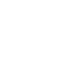 דניאל בן שלמה