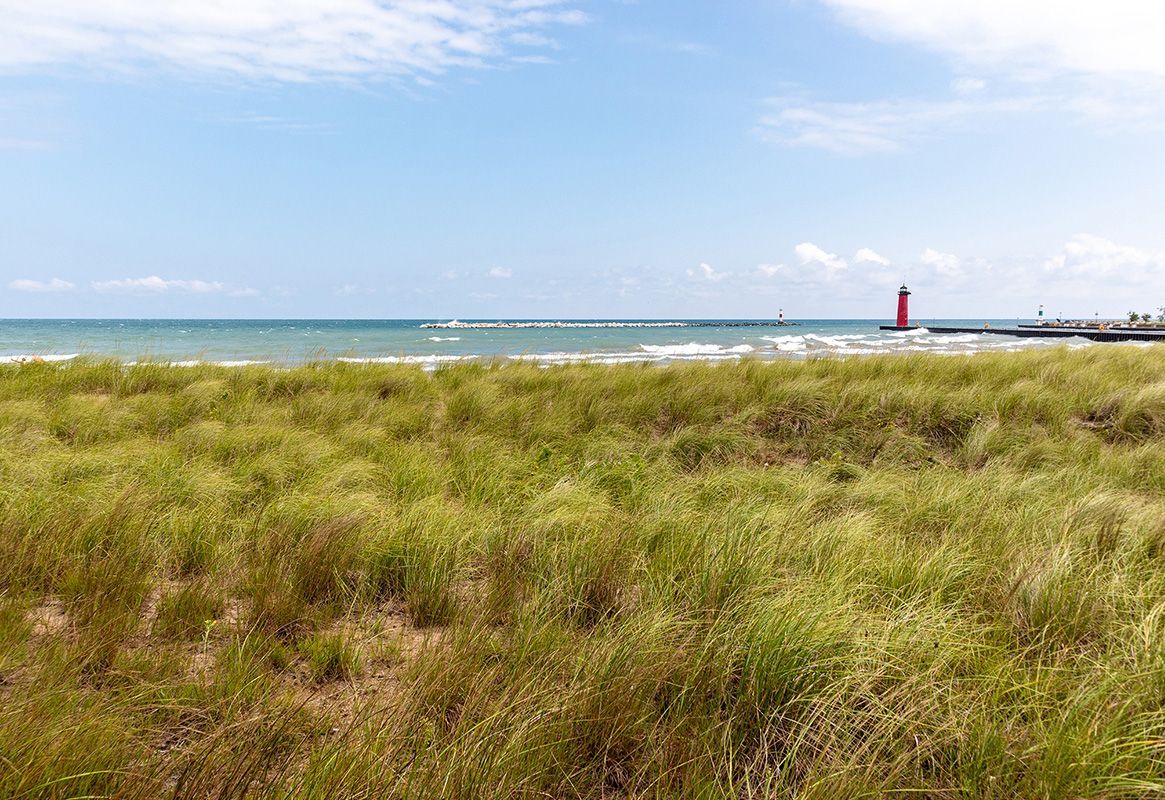Grassy dune overlooking a calm blue beach with a red lighthouse in the distance.