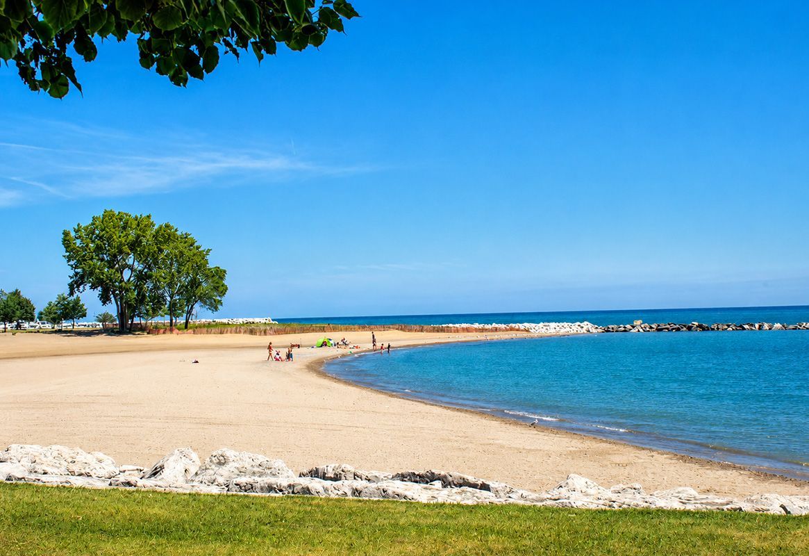 Sunny beach with blue water, sandy shore, a few trees, and a stone breakwater under a clear sky