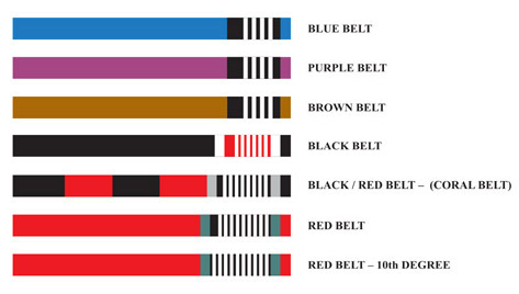 A diagram showing different belt colors including blue belt purple belt brown belt black belt and red belt