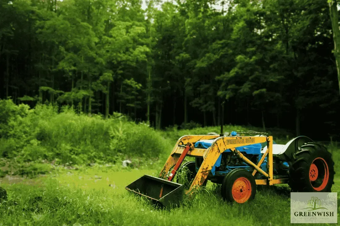 Commercial Landscaping Costs  in 2025 & ROI Breakdown