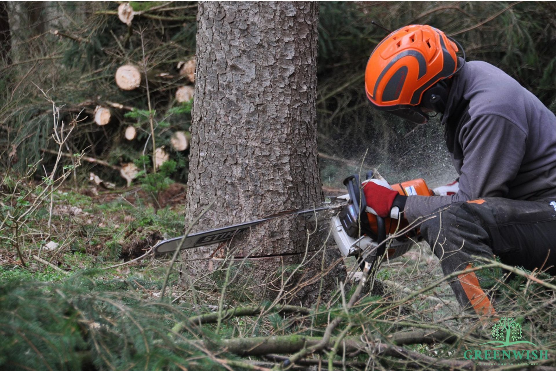 Man wearing protective gear preparing to cut down a tree safely with a chainsaw