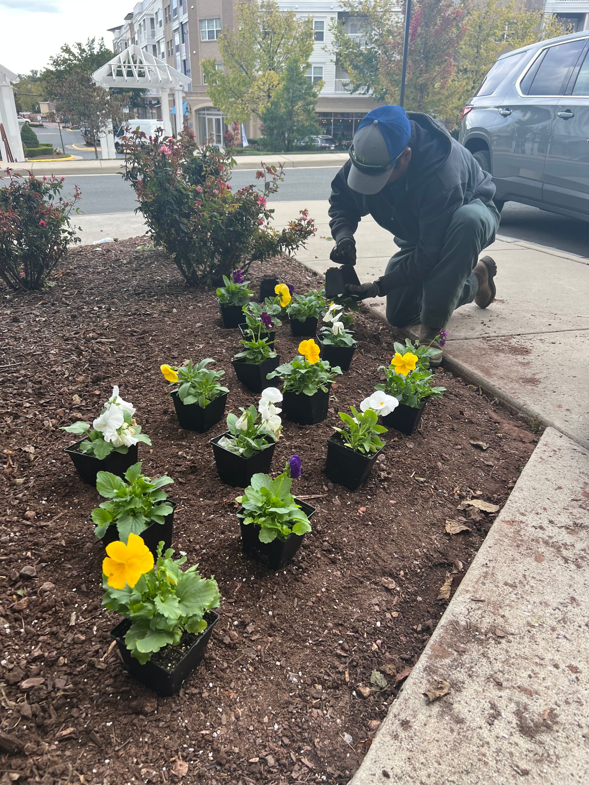A man is kneeling down to plant flowers in a garden.