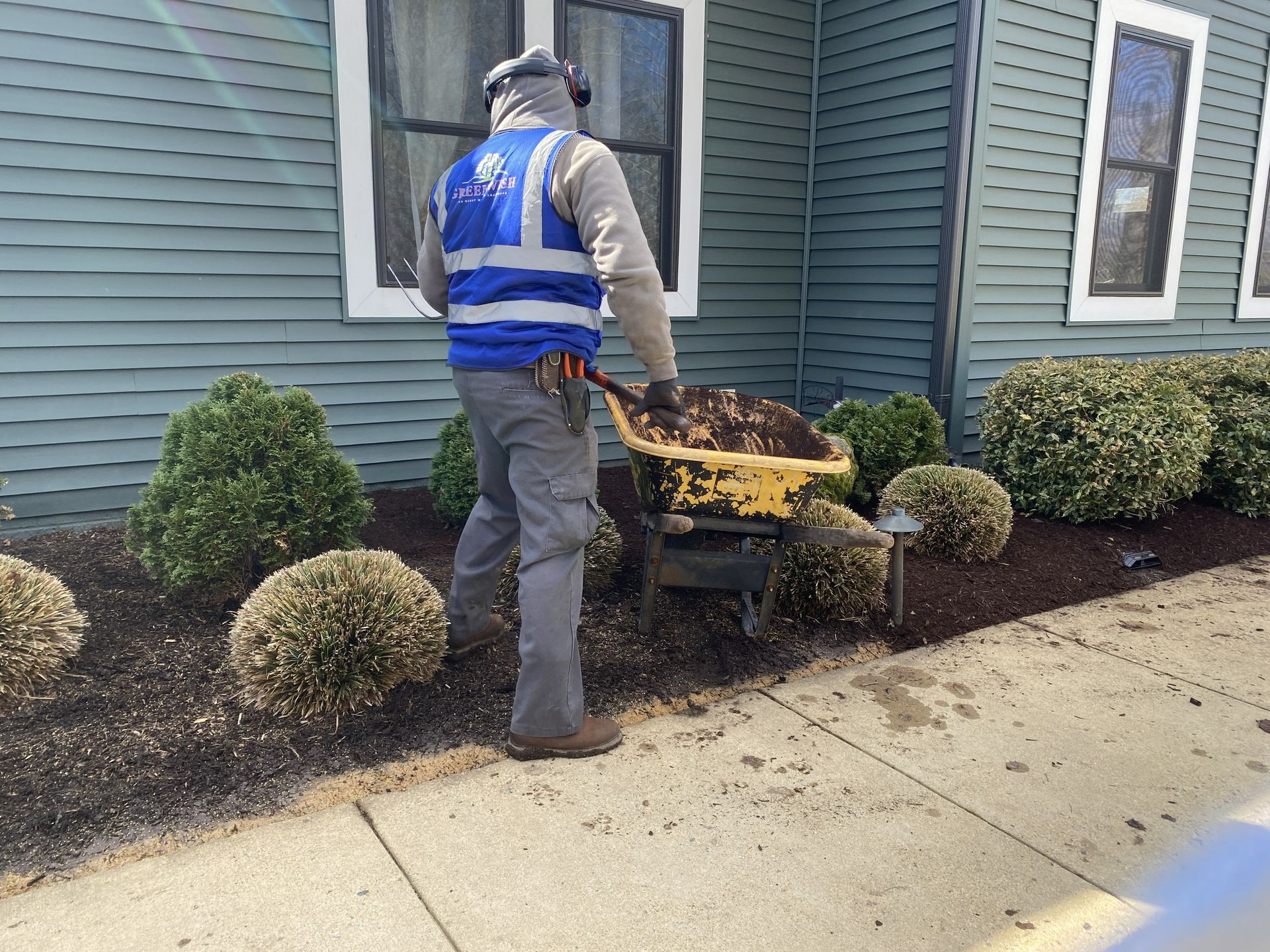 Worker in blue vest wheelbarrows yard debris along a sidewalk beside a house.