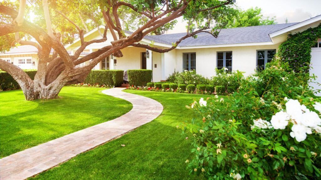Landscaping Costs 2025 Landscaping Costs 2025