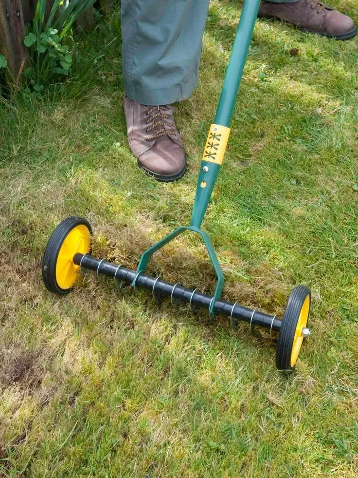 Lawn Aeration and Overseeding Services in Manassas, VA