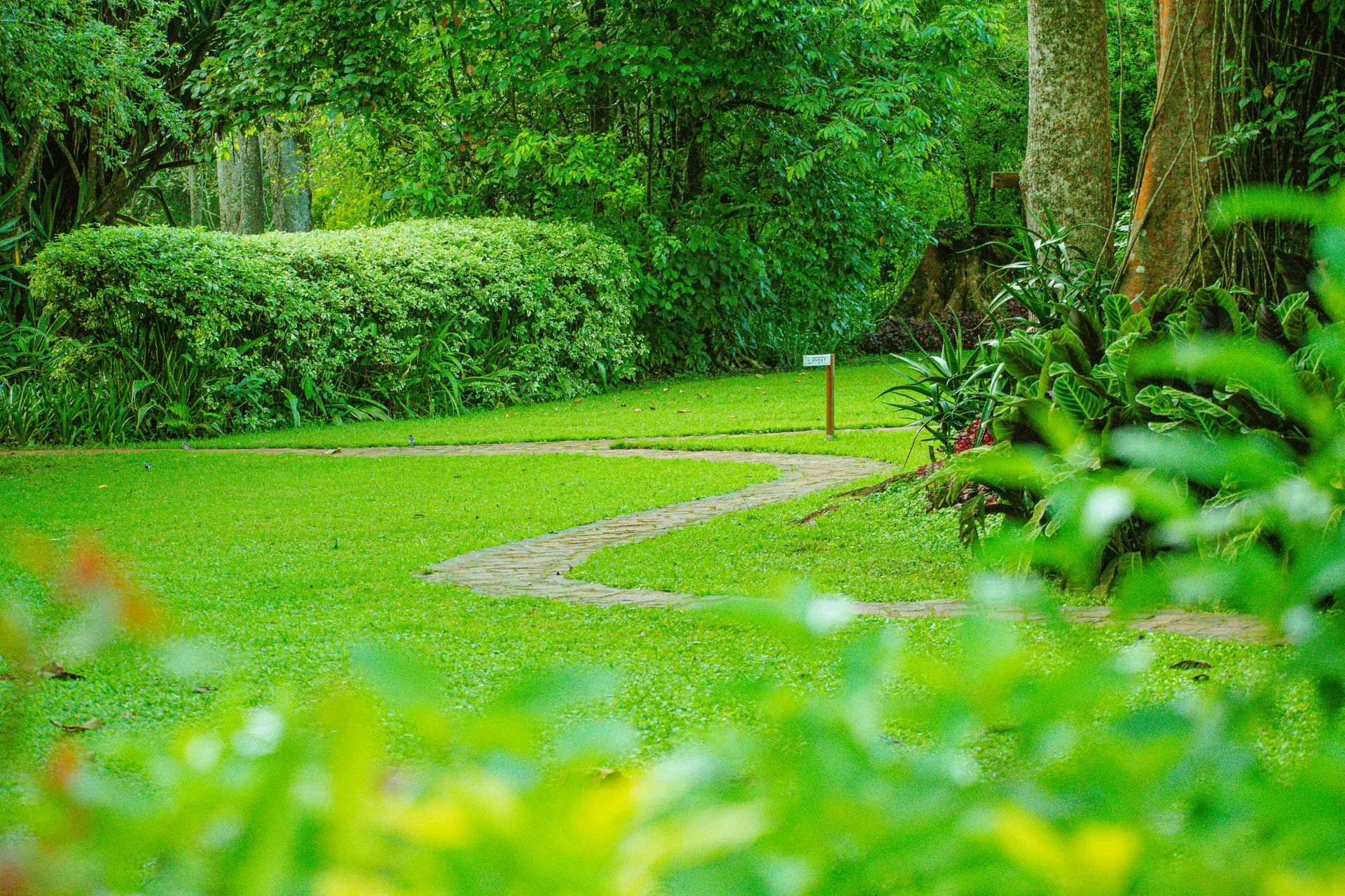 Stunning Residential Landscape Design