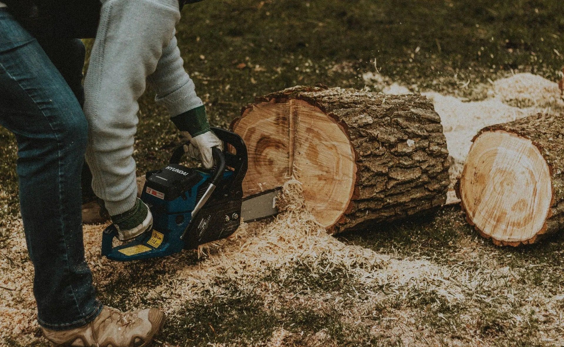 A before and after picture of a tree being removed from a house.