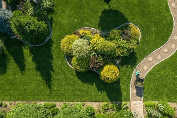 Illustration of Garden Services