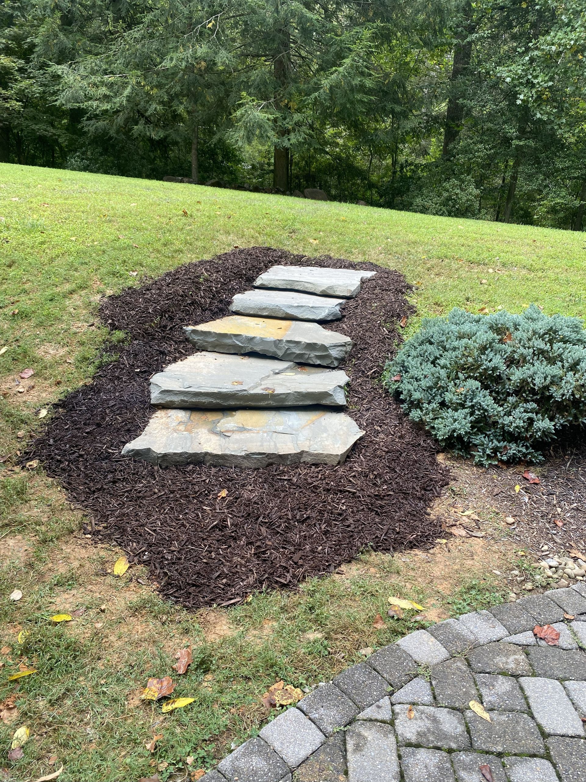 Stone steps in a mulch bed, leading up a grassy hill. A small blue-green bush is nearby.