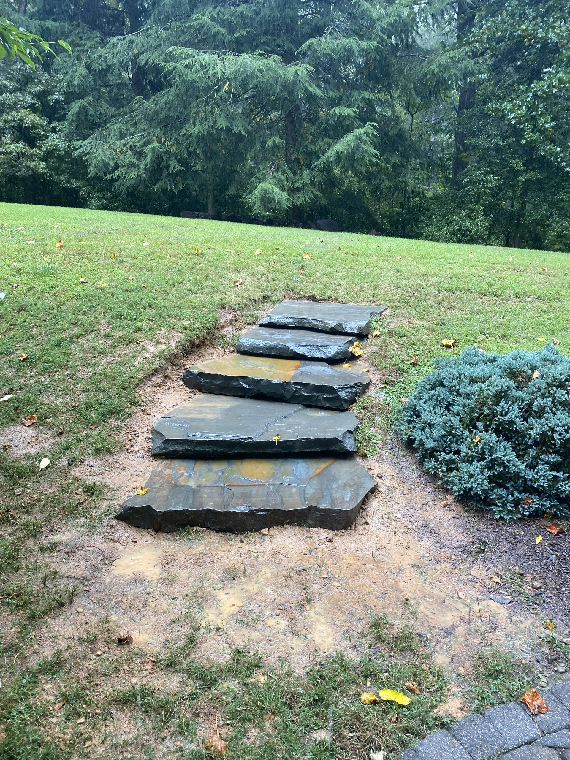Stone steps lead up a grassy hill, with bushes to the right and a treeline in the background.