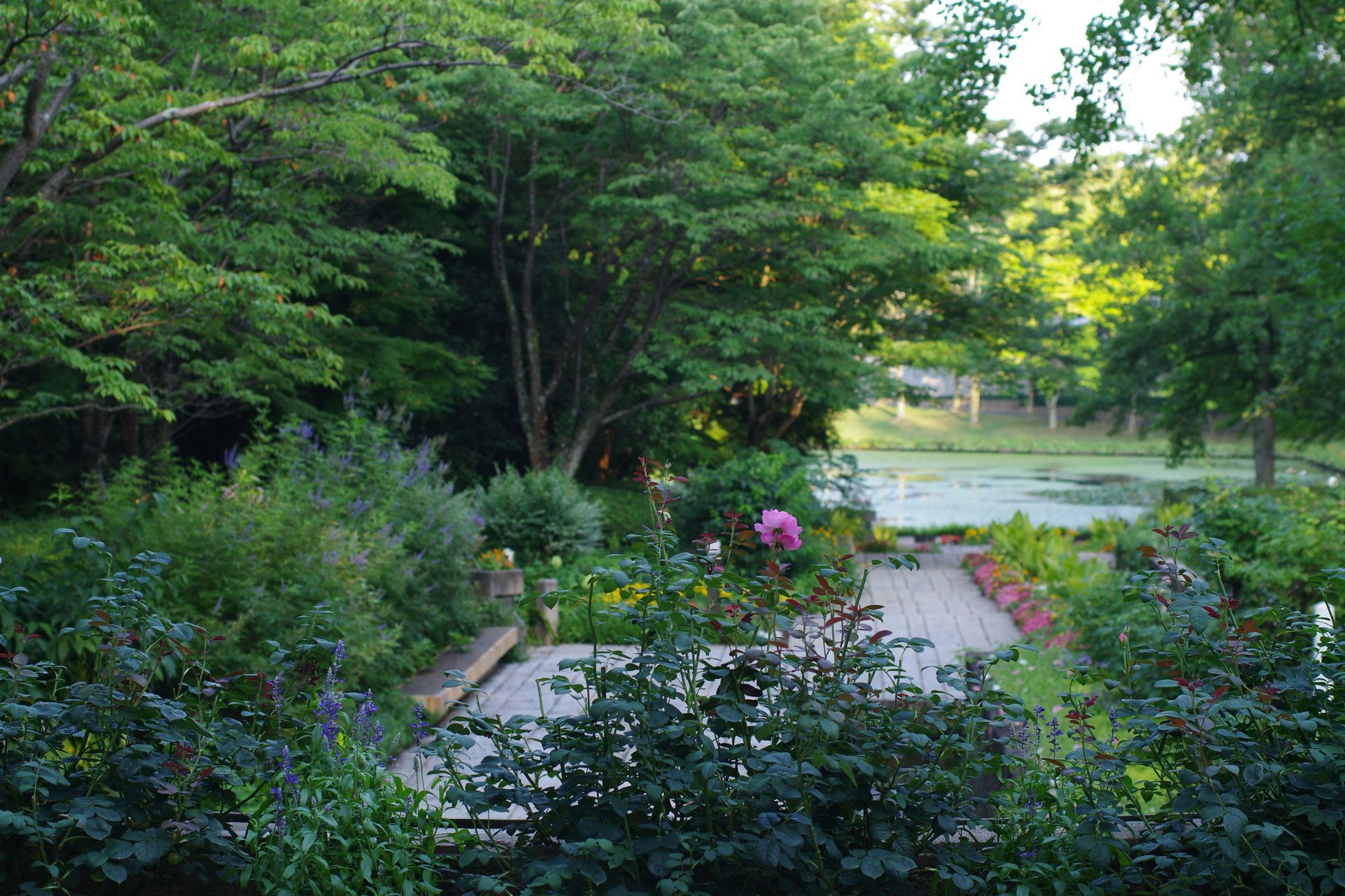 Front yard landscaping ideas 2025 with modern walkway and flower beds