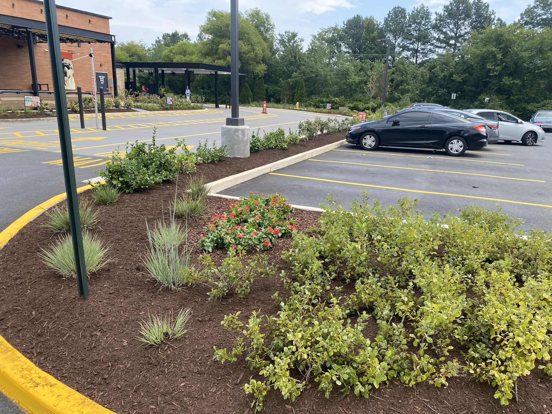Professionally installed mulch bed with ornamental plants at a commercial site, designed and maintained by GreenWish commercial landscaping team in Northern Virginia.