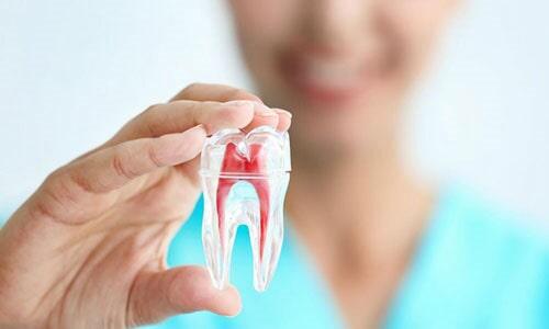 DIENTE FELIZ-Limpiezas y extracciones dentales
