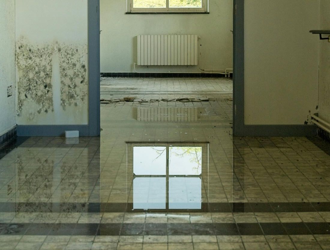 Flooded interior room, water reflecting window. Mold on wall.