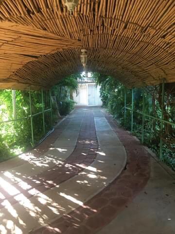 Camino cubierto con techo de paja y camino de ladrillo que conduce a una puerta blanca, rodeada de vegetación.