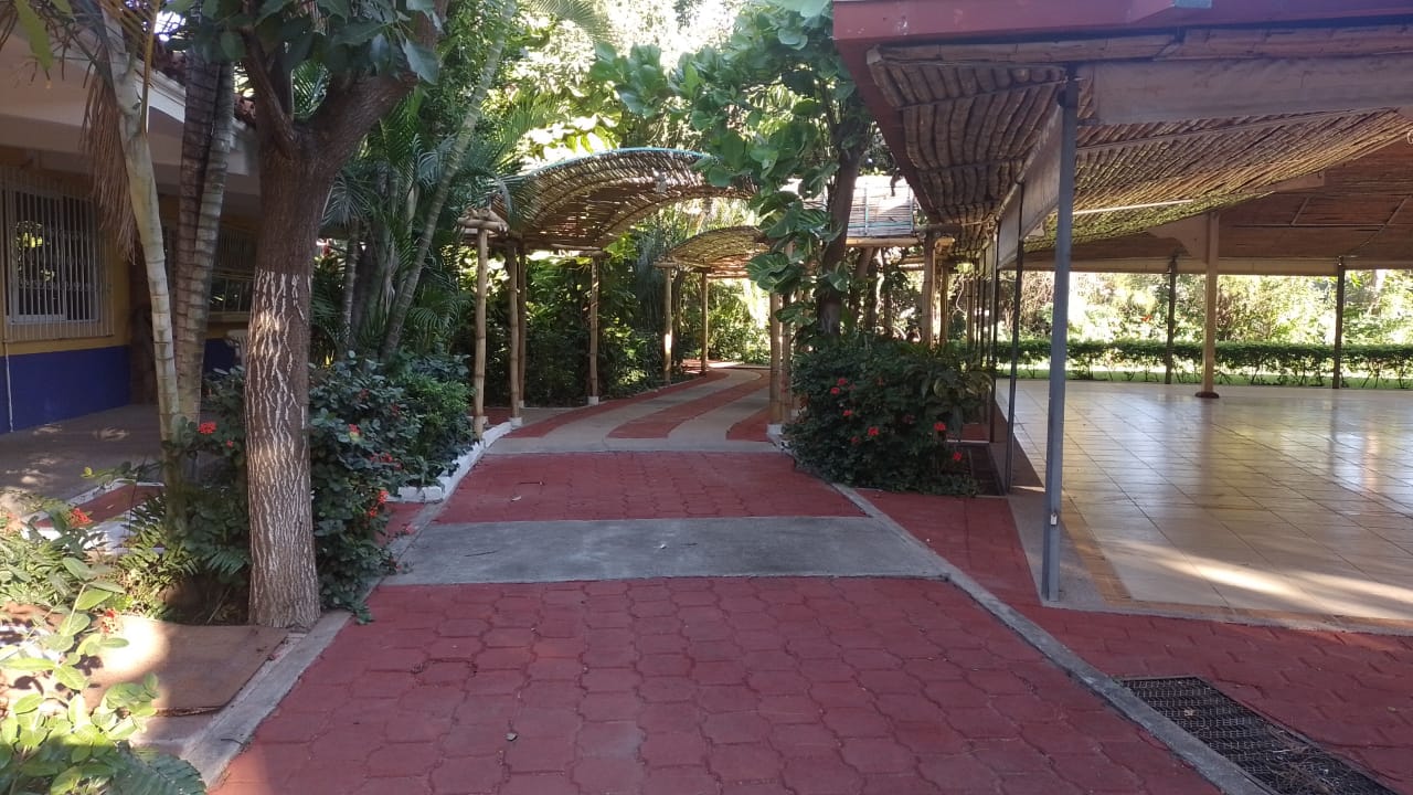 Pasarela de ladrillo con cenador elevado que conduce a una zona cubierta, flanqueada por árboles y vegetación.