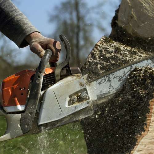 Tree Service in Brighton, MI